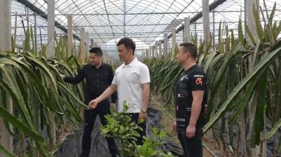 【七一风采·先锋榜样】军人本色不改，“全国示范村”成色更足