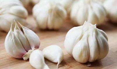 大蒜炝锅致癌 是真的吗？