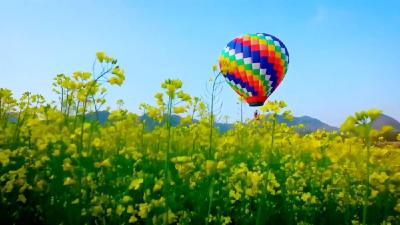 解码首季经济数据｜一路鲜花一路歌 春日经济暖意浓