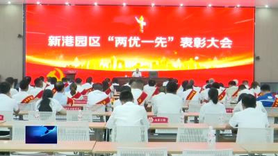 庆祝中国共产党成立103周年  |  新港园区：接续奋斗 推动园区高质量发展