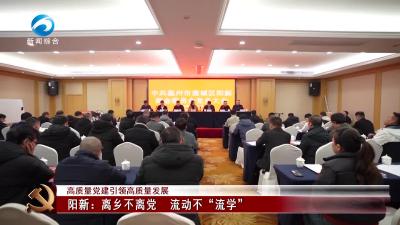 高质量党建引领高质量发展  |  阳新：离乡不离党 流动不“流学”