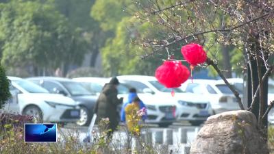 今年三九期间平均气温偏高 21日最高气温或超20℃