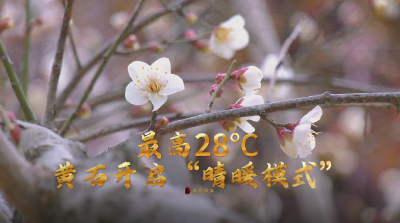 最高28℃ 黄石开启“晴暖模式” 