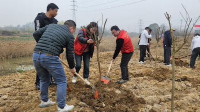 罗家桥街道开展 “绿色智造，共建生态园区” 主题义务植树活动