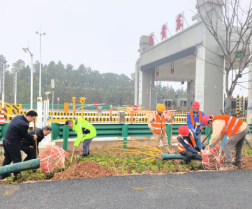 植树添绿 美化高速公路环境