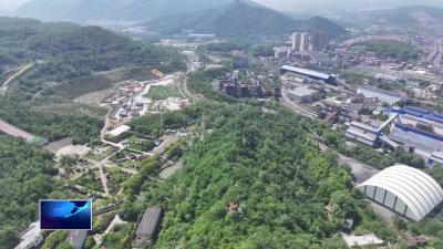我市金属类绿色矿山数量全省第一