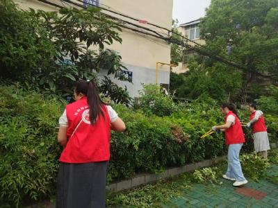 胜利路社区开展绿植美化行动 扮靓居民家园