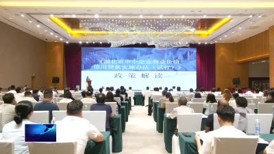 金融政策解读 精准赋能中小企业