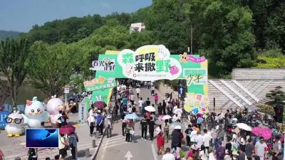 上春山 采春采 游黄石 | 大众山·青山湾“五一”正式开园