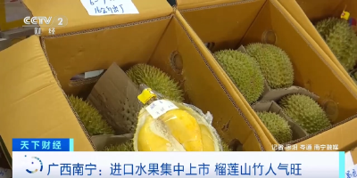 价格降了！榴莲大量上市 一整个期待住了🤩