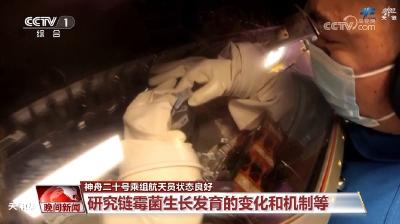 “太空出差”50余天 神二十乘组最近在忙啥？