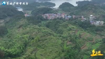 贺安：养生态鸡 走致富路