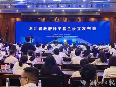 湖北：重构政府引导基金体系 打造种子基金群 赋能“从0到1”阶段创新创业