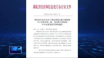 我市一批企业入选省级专精特新企业