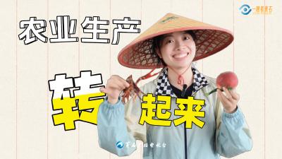 一眼看黄石：农业生产“转”起来