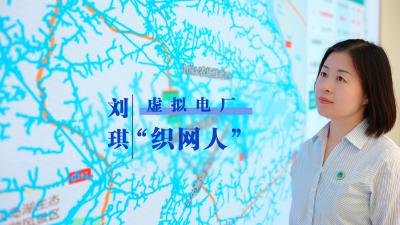 虚拟电厂“织网人”刘琪：带队创全省三项 “率先” 