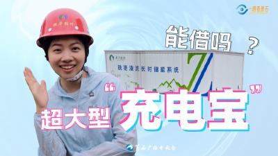 一眼看黄石：超大型“充电宝”能借吗？
