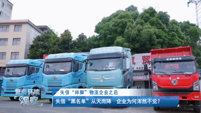 【磁湖聚焦——营商环境观察】失信“绊脚”物流企业之后