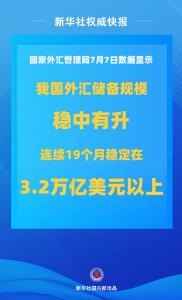 6月末我国外汇储备规模增至33174亿美元