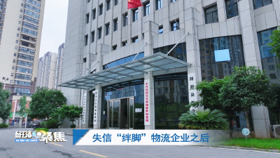 【磁湖聚焦——营商环境观察】失信“绊脚”物流企业之后