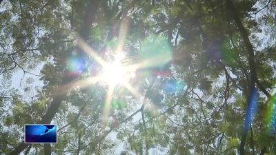 迎峰度夏 节约用电