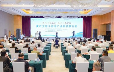 第十九届湖北·武汉台湾周黄石分会场活动黄石光电子信息产业投资推介会举行