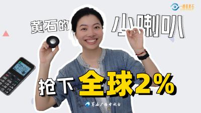 湖北黄石：小喇叭抢下全球2%市场份额