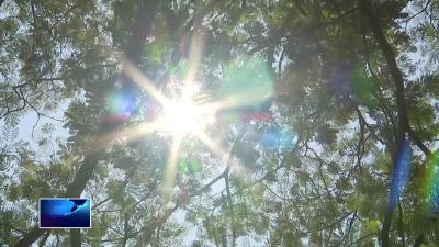 今日小暑 炎炎盛夏正式登场