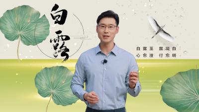 清廉说：节气说廉·白露