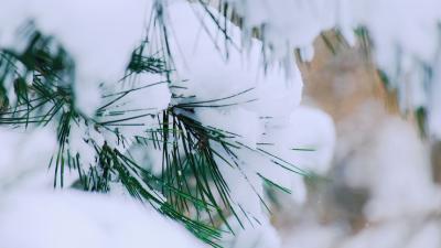 清廉说：节气说廉·冬至