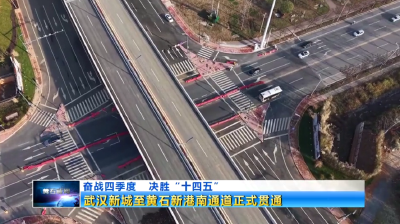 武汉新城至黄石新港南通道全线贯通