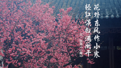 清廉说：节气说廉·小寒