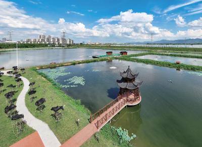 新春走基层 | 唐诗中“游”出的鳜鱼 千年江鲜的湖中“新生”