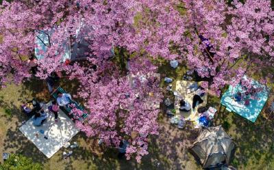 春天里，看见一个活力富足的中国