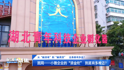 【磁湖聚焦·营商环境观察】从“融资难”到“融易贷”，这条路有多远？
