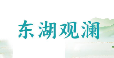 东湖观澜丨“势”在人为