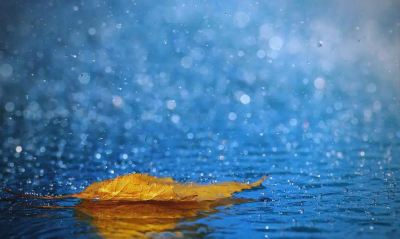 注意！湖北高考第一天，全省有雨