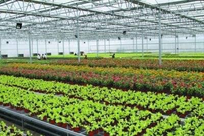 湖北全苑生态农业科技公司博士后工作站揭牌成立