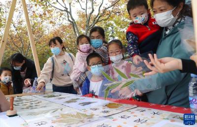 上海: 公园里的科学集市