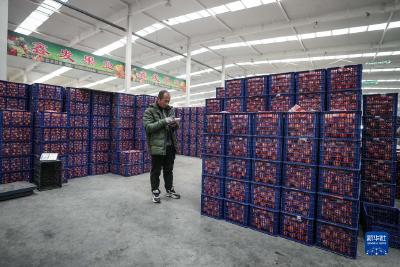东北“菜篮子”供销两旺