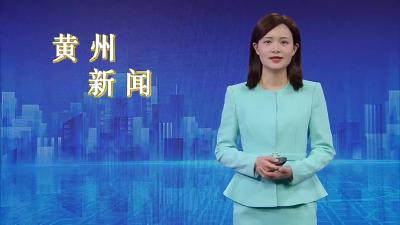 黄冈智慧农博城项目建设踏“春”提速