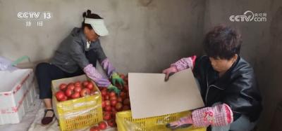 我国设施农业发展迅速 有效满足市场“菜篮子”“果盘子”“花架子”需求