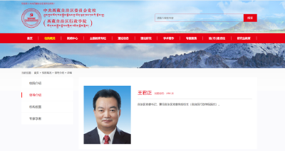 曾任湖北省委常委，王君正兼任新职