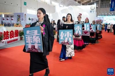 创意云南文化产业博览会开幕