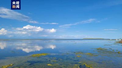 青海湖刚毛藻治理成效初步显现