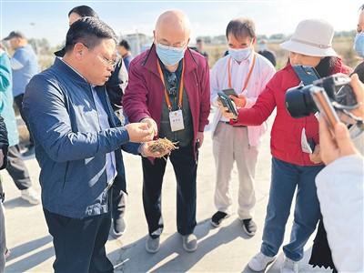 “追梦中华·闽宁协作谱新篇”2023海外华文媒体宁夏采访行—— 书写动人山海传奇（侨界关注） 