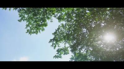 第二届黄冈楷模·最美退役军人——姚峰