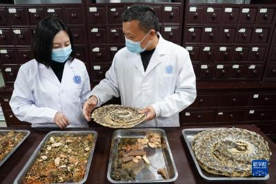 走进安徽省祁门蛇伤研究所