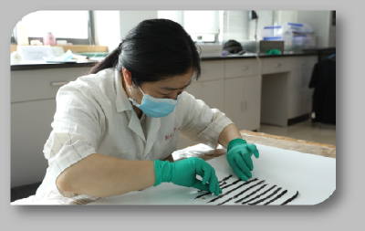 距今2300多年的乘法口诀实物被发现！