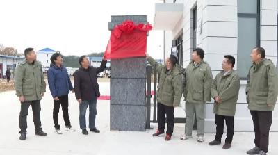 揭牌运行！与红安每个人有关